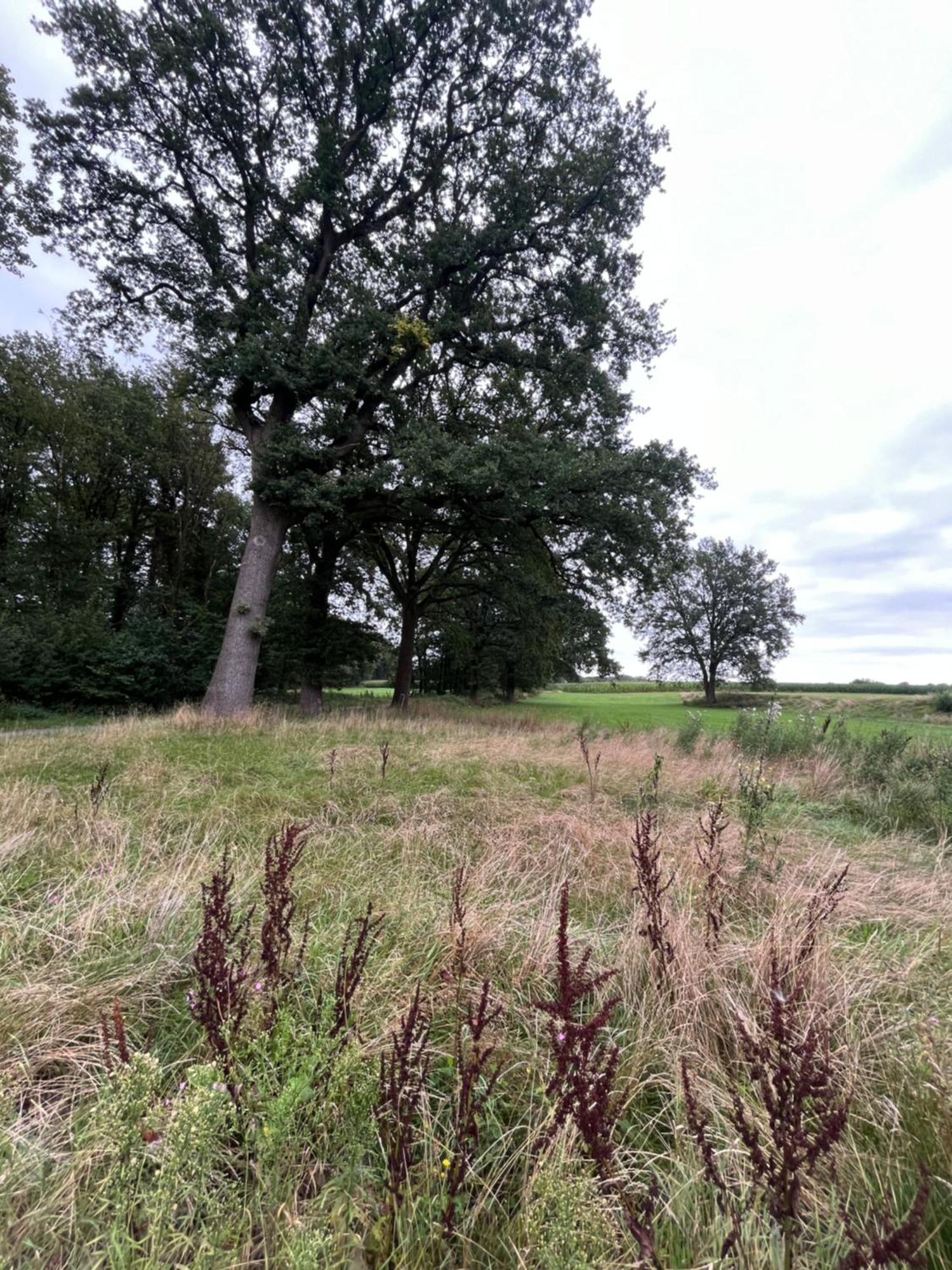 Fewo Brauel Am Nordpfad Zevener Geest - Ruhige, Moderne 2 Zimmer Wohnung, Ladestation, Parkplatz, Wlan, Garten Exteriér fotografie